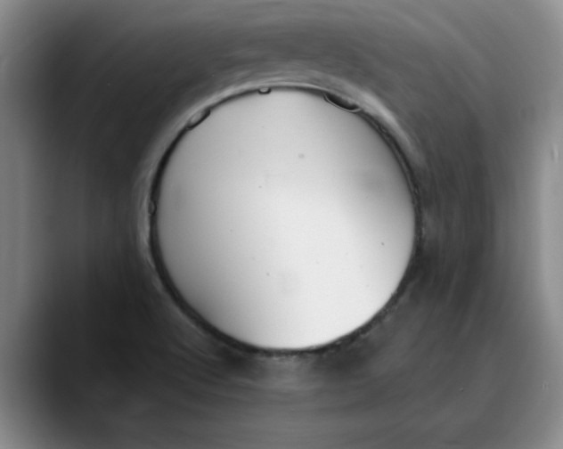 X0000089901512200707192023