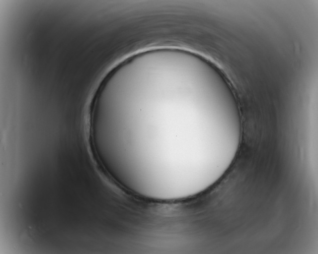 X0000089901519200707192023