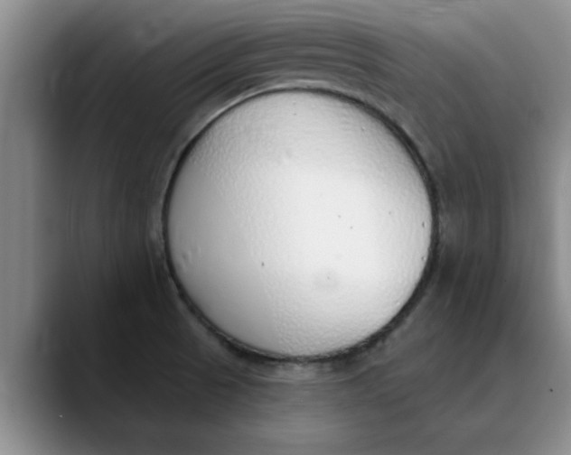 X0000089901521200707192023