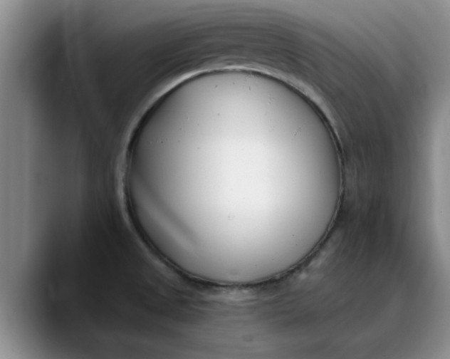 X0000089901525200707192023
