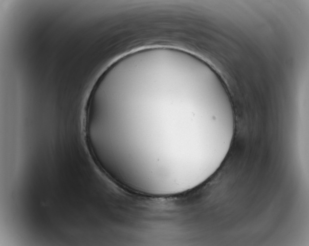 X0000089901527200707192023
