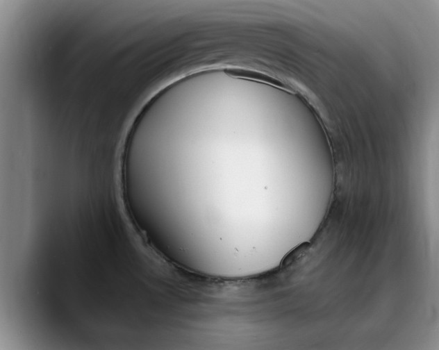 X0000089901530200707192024
