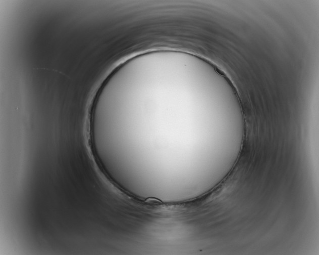 X0000089901531200707192024