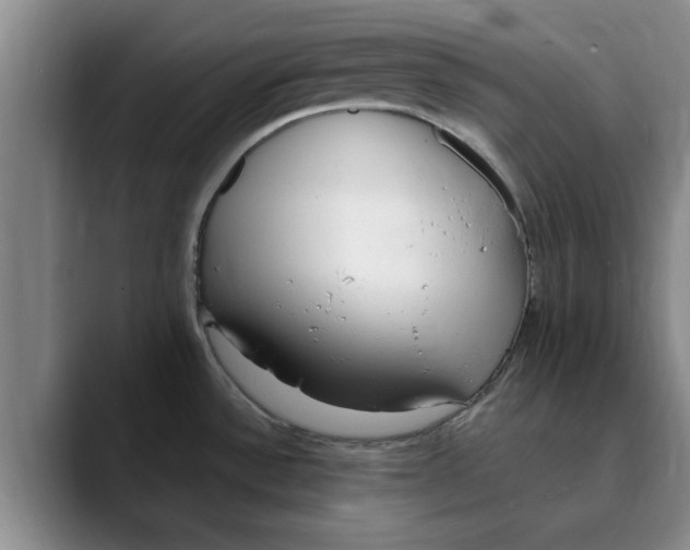 X0000089901532200707192024