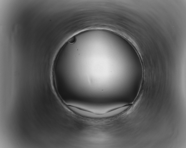 X0000089901533200707192024
