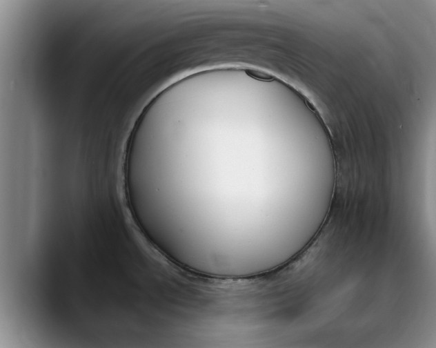 X0000089901534200707192024