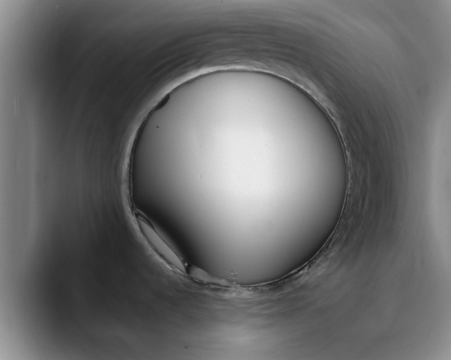 X0000089901536200707192024