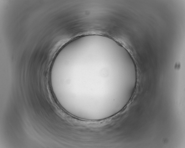 X0000089900001200707262301