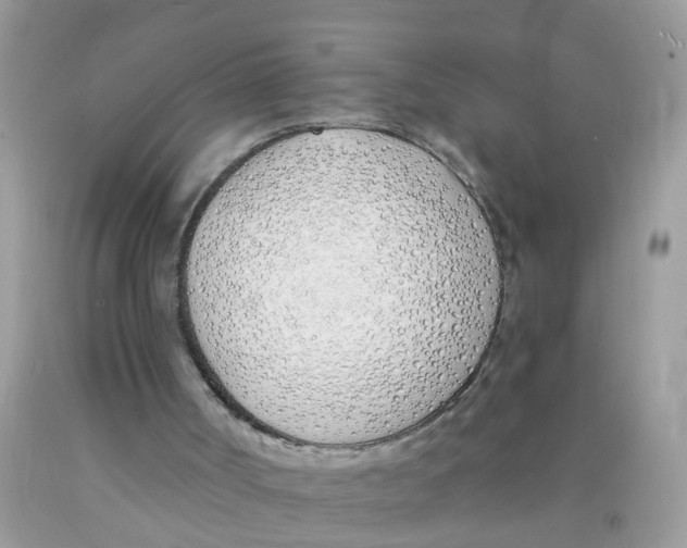 X0000089900002200707262301