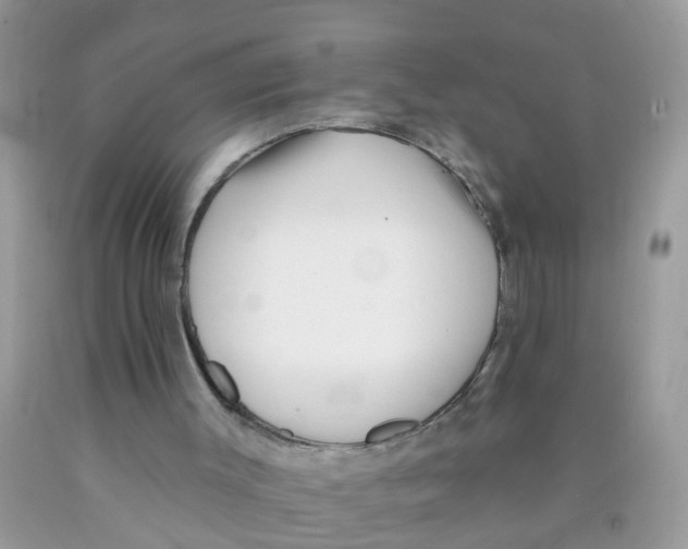 X0000089900003200707262301