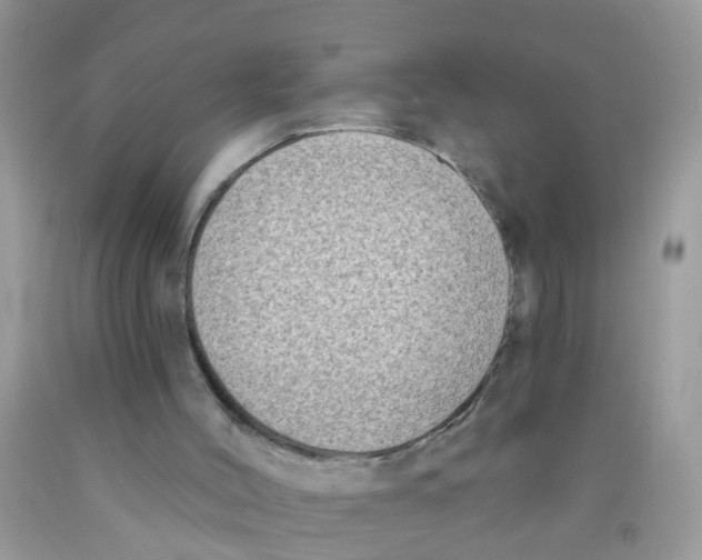 X0000089900004200707262301