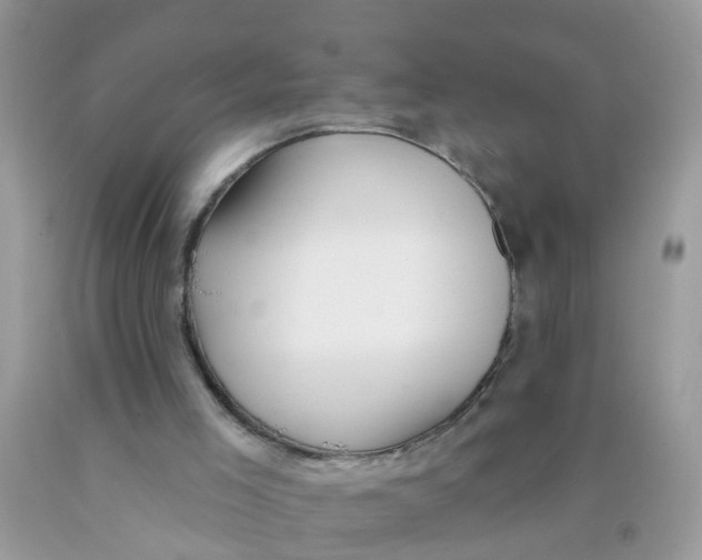 X0000089900005200707262301
