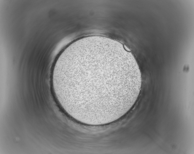 X0000089900006200707262301