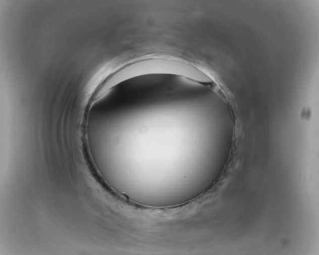 X0000089900007200707262301