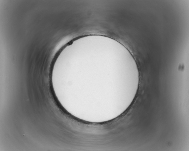 X0000089900008200707262301