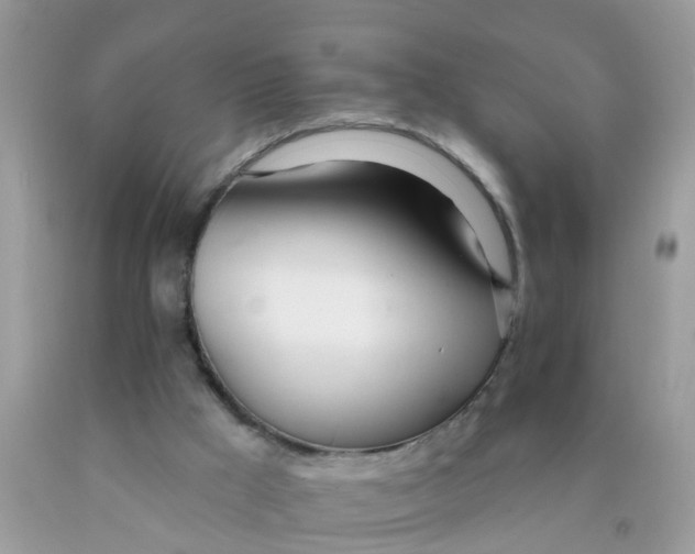 X0000089900009200707262301