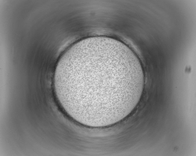 X0000089900010200707262301
