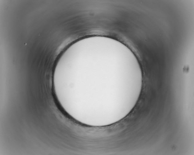 X0000089900011200707262301