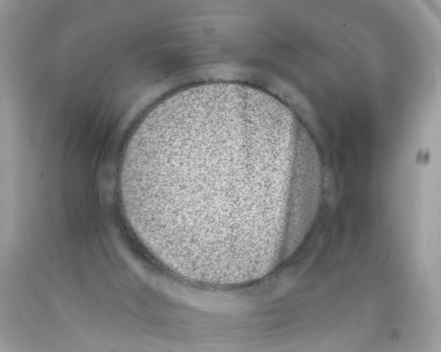 X0000089900012200707262301