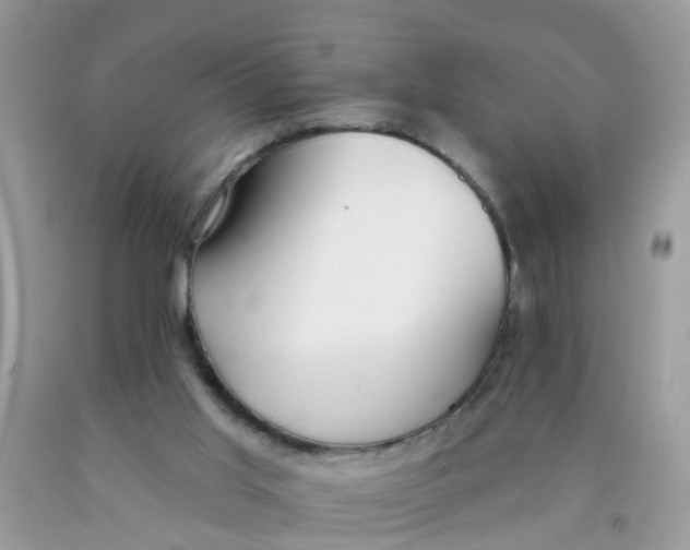 X0000089900013200707262301