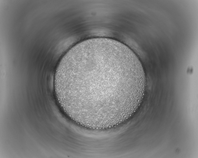 X0000089900014200707262301