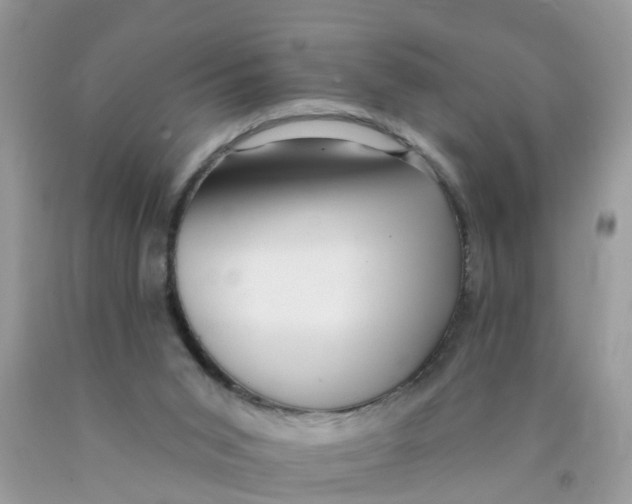 X0000089900015200707262301