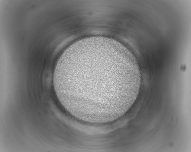 X0000089900016200707262301