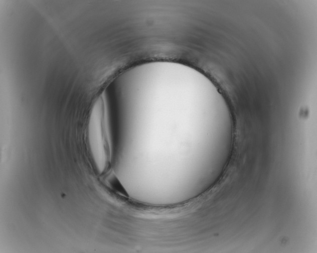 X0000089900017200707262301