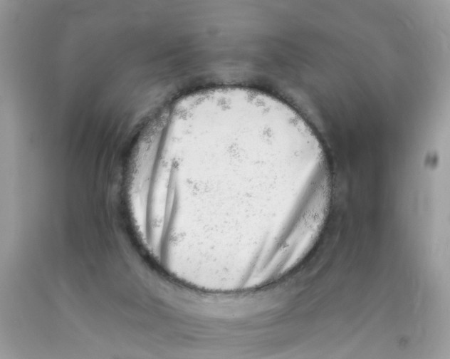 X0000089900018200707262301