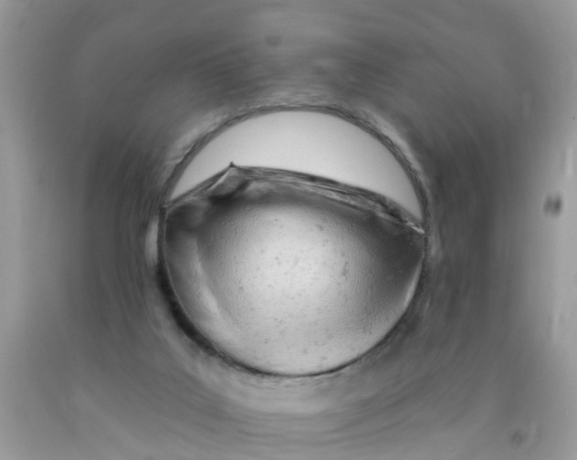 X0000089900019200707262301
