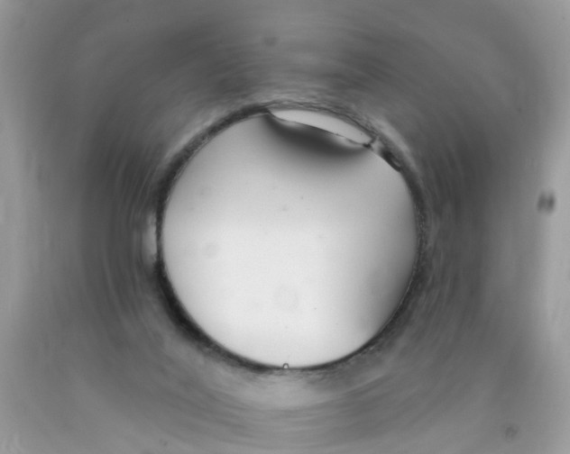 X0000089900020200707262301