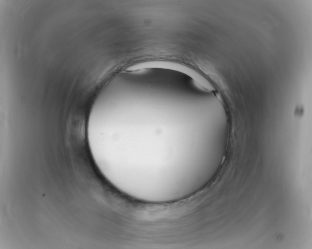 X0000089900021200707262301