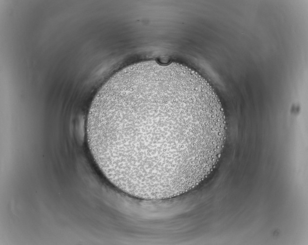 X0000089900022200707262301
