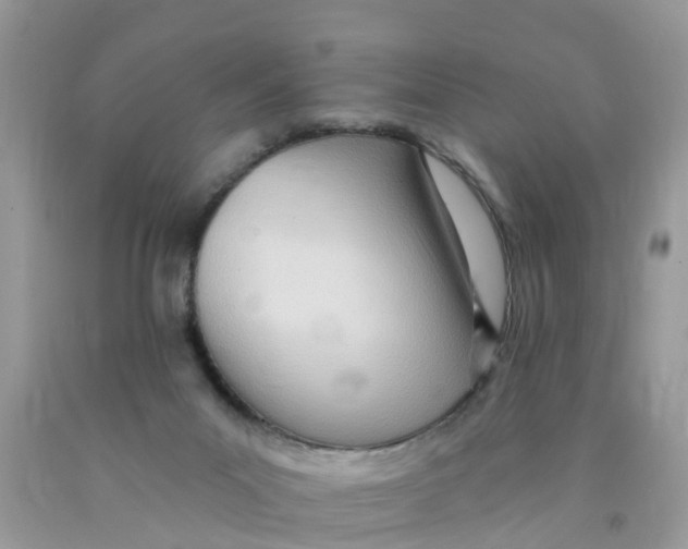 X0000089900023200707262301