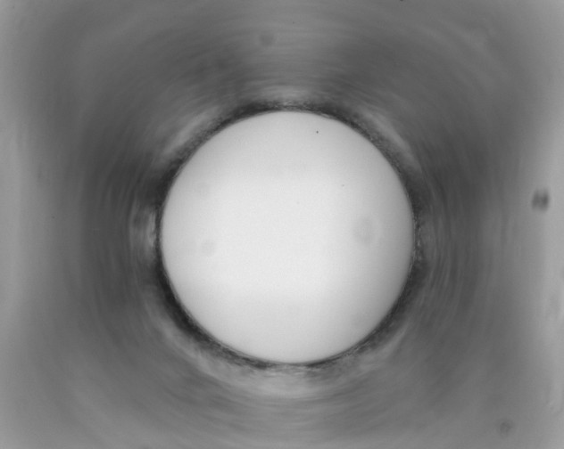 X0000089900024200707262301