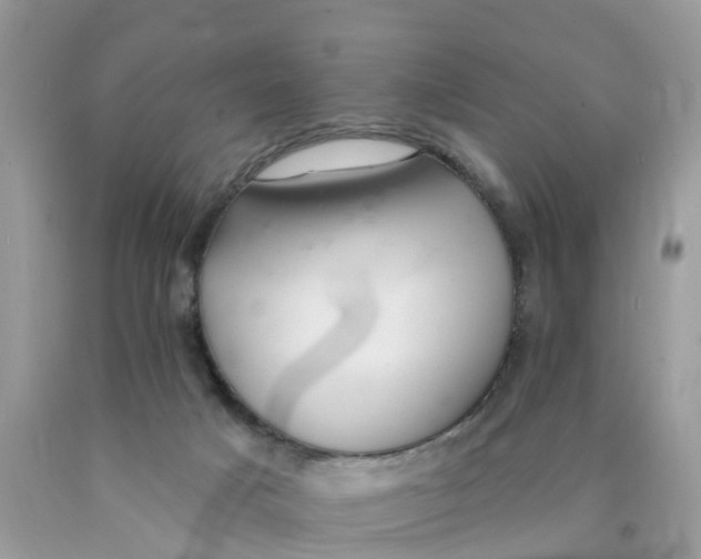 X0000089900025200707262301