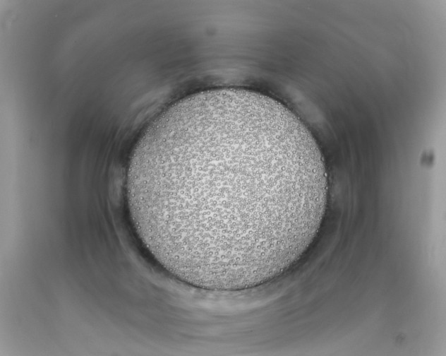 X0000089900026200707262301