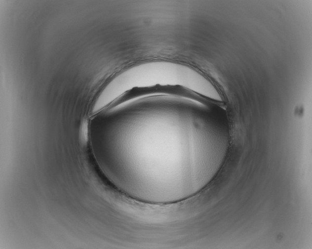 X0000089900027200707262301