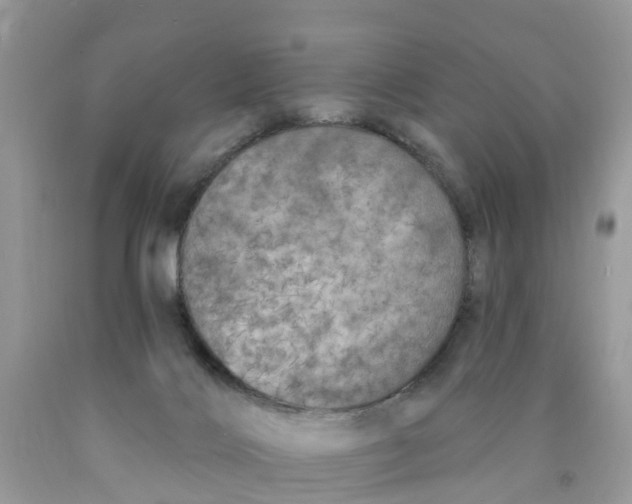 X0000089900028200707262301
