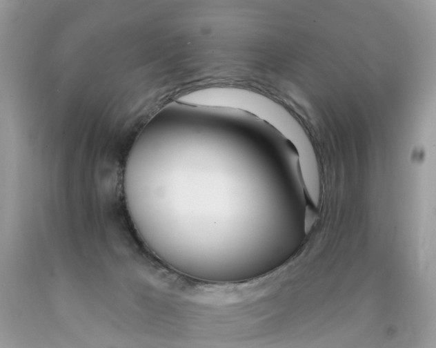 X0000089900029200707262300