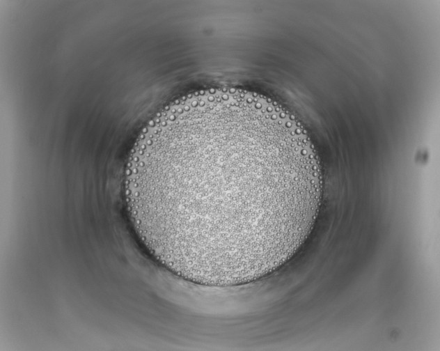 X0000089900030200707262300