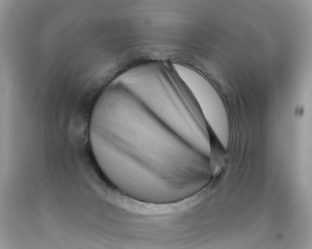 X0000089900031200707262300