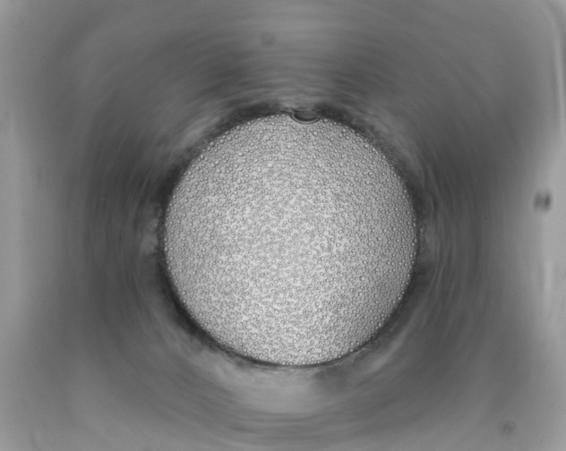 X0000089900032200707262300