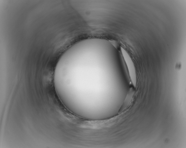 X0000089900033200707262300