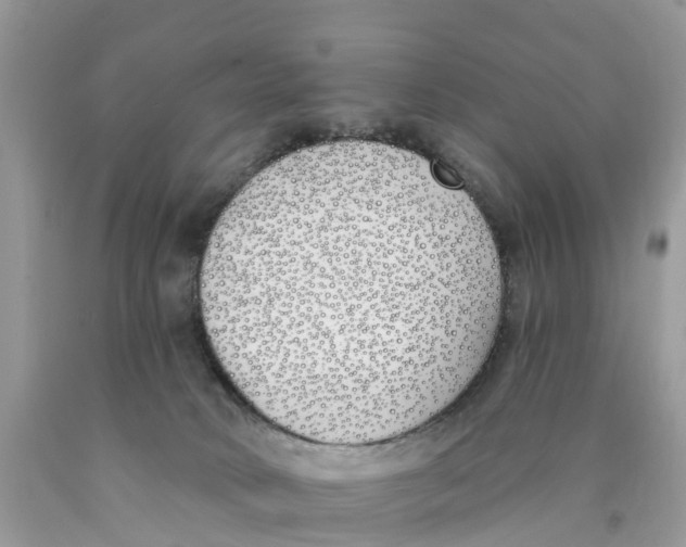 X0000089900034200707262300