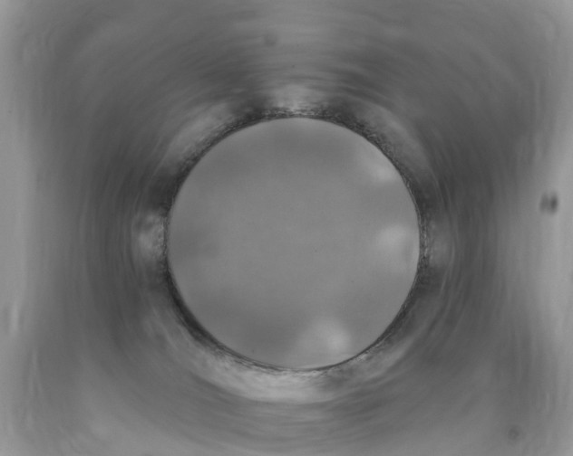 X0000089900036200707262300