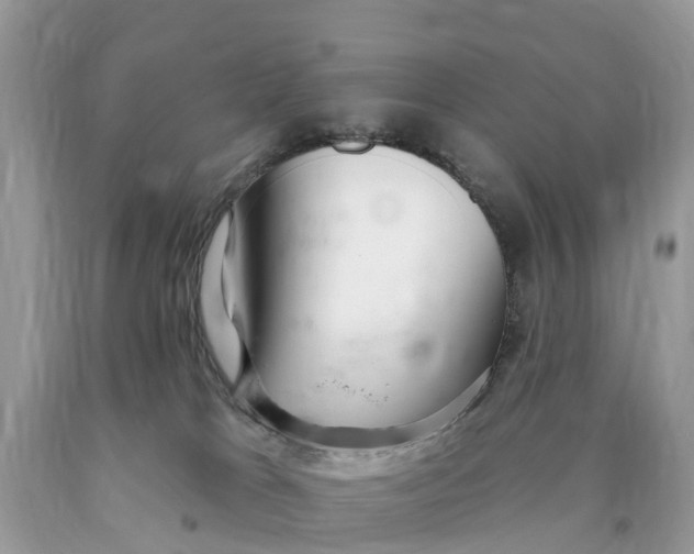 X0000089900037200707262300