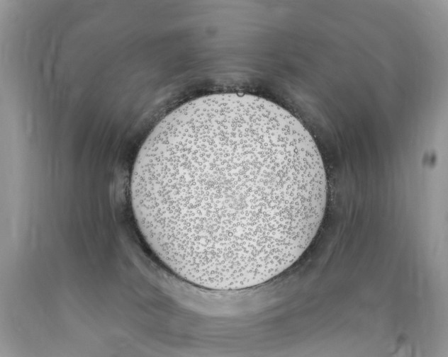 X0000089900038200707262300