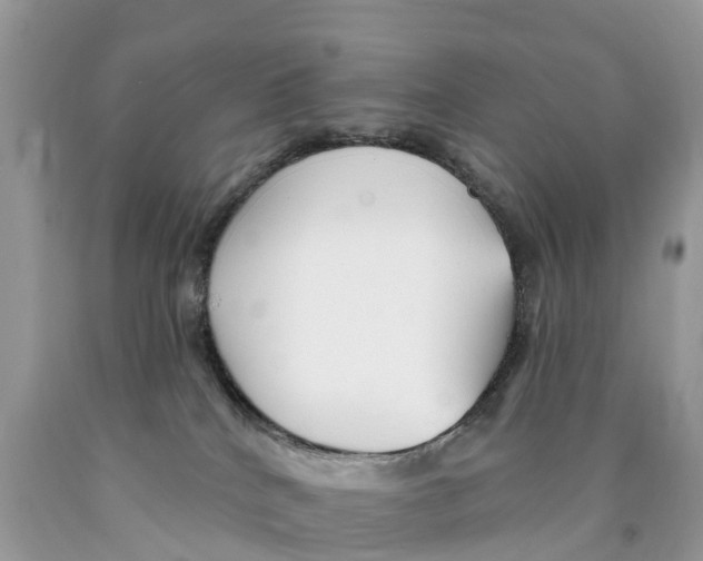 X0000089900040200707262300