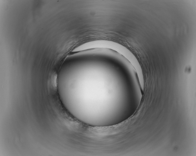 X0000089900041200707262300